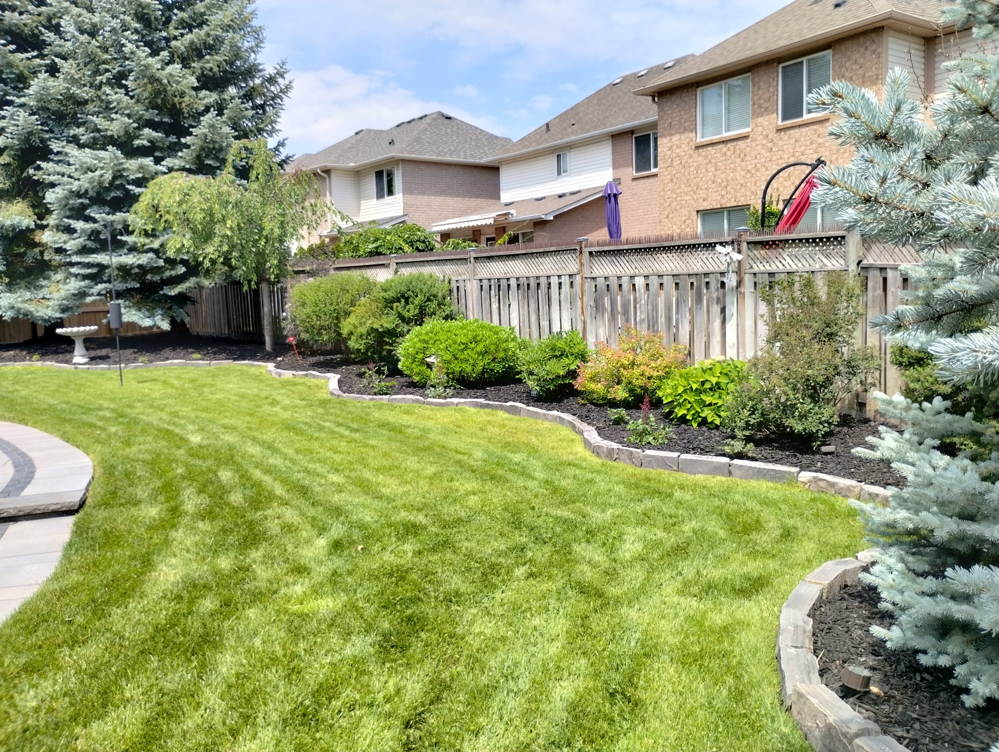 Fresh sod lawn installation - lawn care and sod vs seed